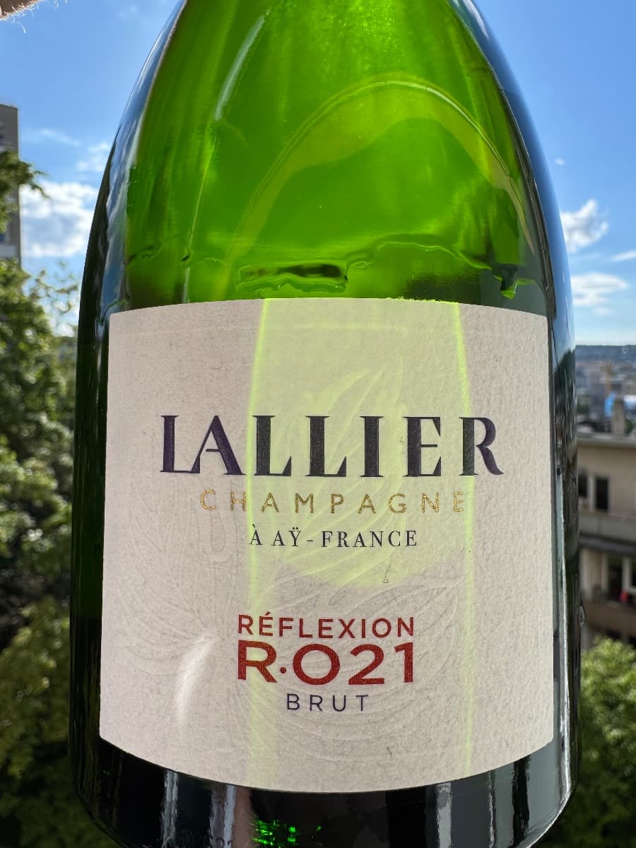 Réflexion R•021 Brut